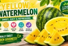 Yellow Watermelon