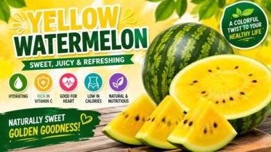 Yellow Watermelon