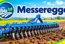 Messeregge
