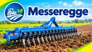 Messeregge